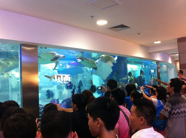 Chinos cargados con móviles y cámaras se amontonan ante un acuario en el Granview Mall de Guangzhou.