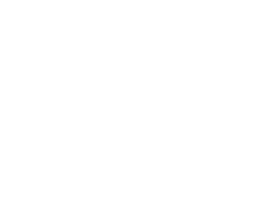 El Gato Chino